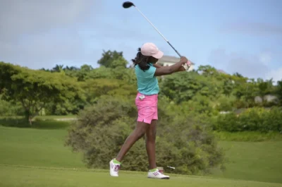 The Perfect Swing, the Science behind it